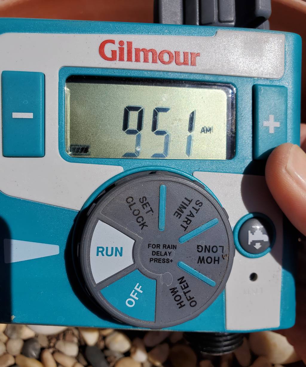 self-watering-system-setup-complete